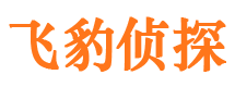 河池市场调查